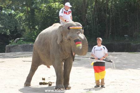 Hagenbeck 09062016 006