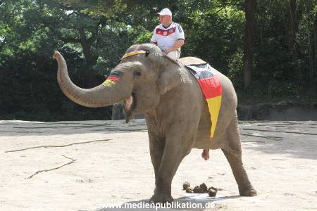 Hagenbeck 09062016 008