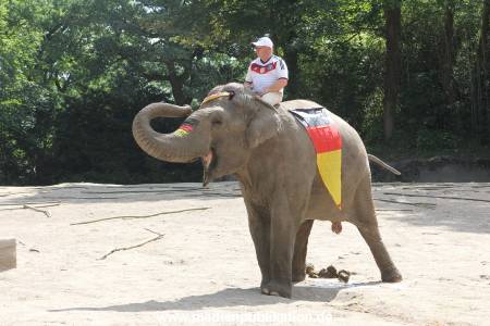 Hagenbeck 09062016 009