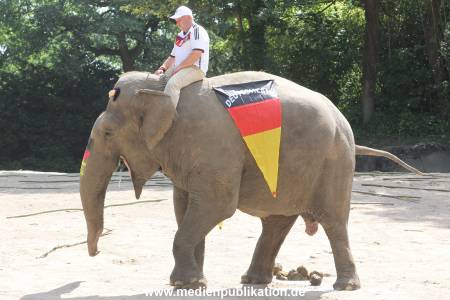 Hagenbeck 09062016 010