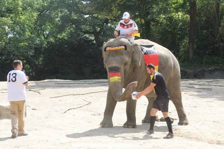 Hagenbeck 09062016 011