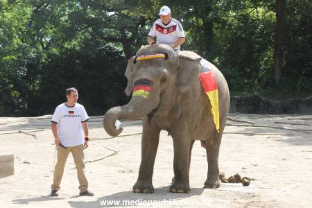 Hagenbeck 09062016 012