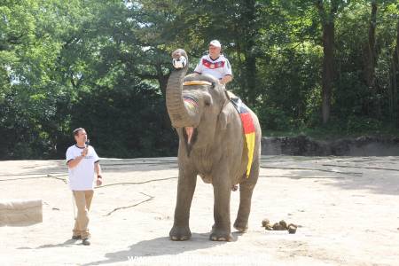 Hagenbeck 09062016 013