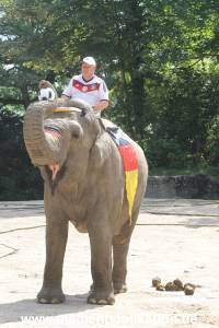 Hagenbeck 09062016 014