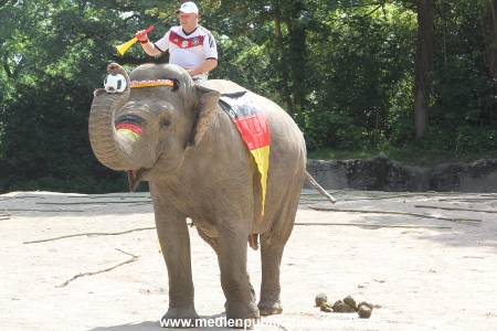Hagenbeck 09062016 015