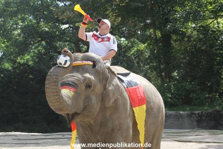 Hagenbeck 09062016 017