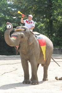 Hagenbeck 09062016 019