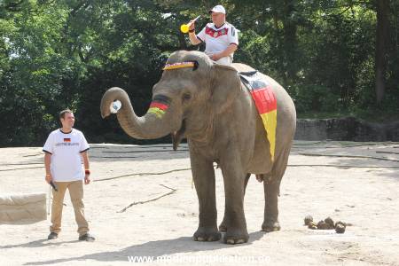 Hagenbeck 09062016 021