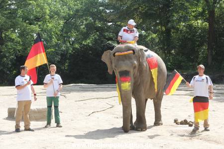 Hagenbeck 09062016 024