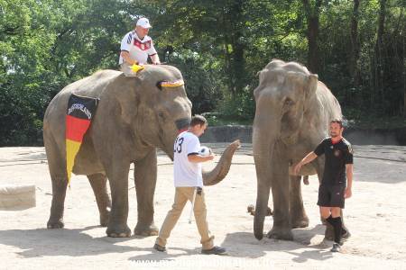 Hagenbeck 09062016 030