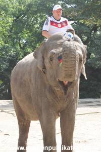Hagenbeck 09062016 031