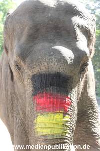 Hagenbeck 09062016 036
