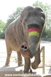 Hagenbeck 09062016 037