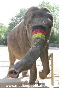 Hagenbeck 09062016 038