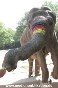 Hagenbeck 09062016 039