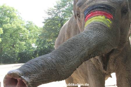 Hagenbeck 09062016 040