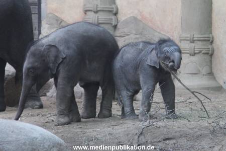 Hagenbeck 10032016 004