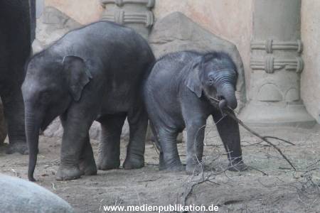 Hagenbeck 10032016 005