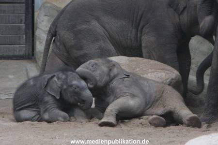 Hagenbeck 10032016 006