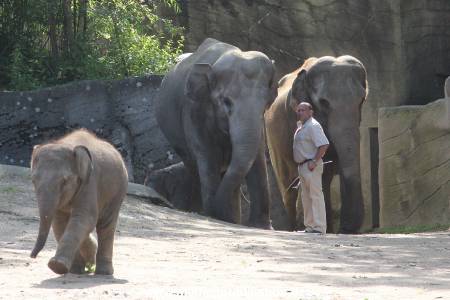 Hagenbeck 13072016 007