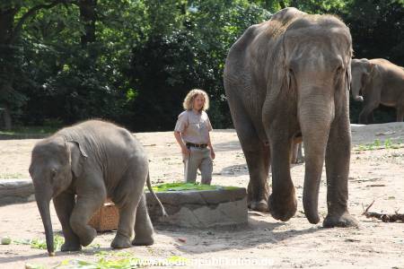 Hagenbeck 13072016 010