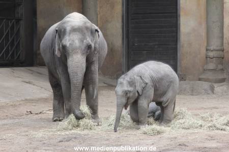 Hagenbeck 22032016 009