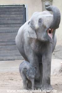 Hagenbeck Wendt 29012016 001