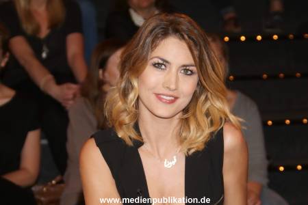 Lanz Sendung2 11052016 059