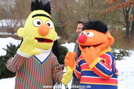 NDR Ernie und Bert Ampel 13012026 002