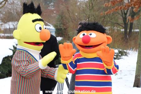 NDR Ernie und Bert Ampel 13012026 003