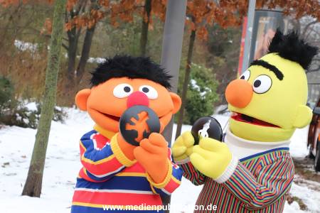 NDR Ernie und Bert Ampel 13012026 021