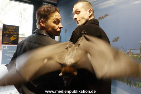 Tanz der Vampire Segeberg 26042024 178