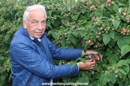 Glantz Himbeeren 2706201 081