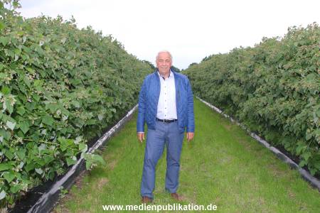 Glantz Himbeeren 2706201 086