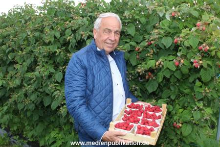 Glantz Himbeeren 2706201 091