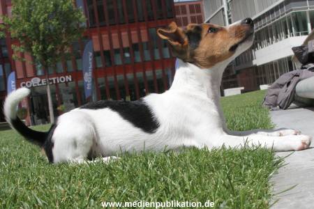 Ilka 24062011 025