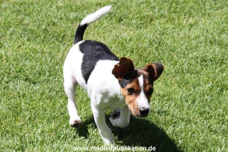 Ilka 24062011 030