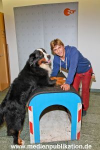 Loewenzahn 24102012 012