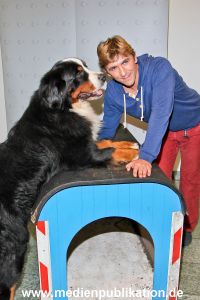 Loewenzahn 24102012 014