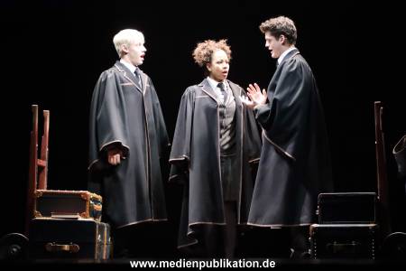 Potter 05032020 050