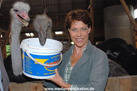 Stuermische Zeiten 14082008 009