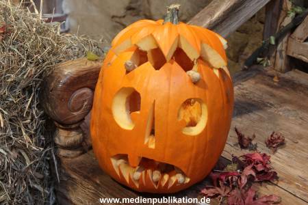 Hagenbeck 26102012 003