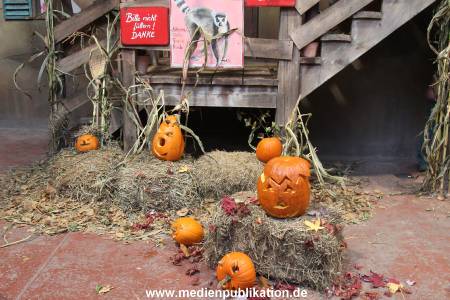 Hagenbeck 26102012 004
