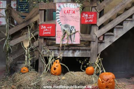 Hagenbeck 26102012 006