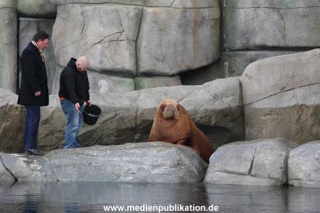 Hagenbeck26032013 001