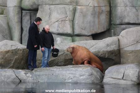 Hagenbeck26032013 002