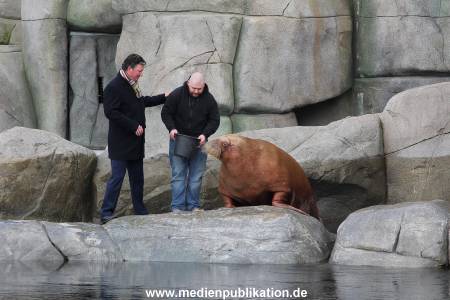 Hagenbeck26032013 003