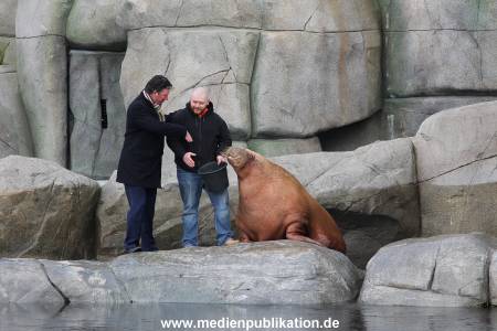 Hagenbeck26032013 008