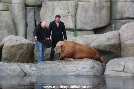 Hagenbeck26032013 010