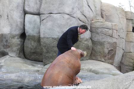 Hagenbeck26032013 018